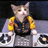 Upgrade your radio show 1.01