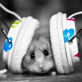 Hamster House Sessions - RIP Miko part III (finale)