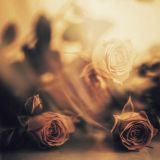 My Soul Speaks