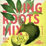 Spring Roots Mix 2011