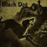Black Dog