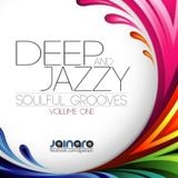 Deep & Jazzy Soulful Grooves vol 01 by Dj Jainaro