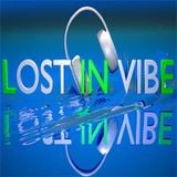 LOST IN VIBE