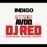 Indigo @ Dom Mladih Palma 29.11.2014. - Tribute To Avdo DJ Red