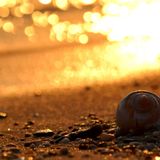 Summer Ends
