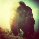Lanka Inspiration