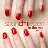 In The Mix Vol. 1 (September 2014)