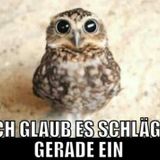 Hab nich Allet Rinjemacht sonst jehste krachen Keuleeee