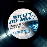 WHAT'S THE DIGG'? - FEL SWEETENBERG #edition (Compiled by MIL, Mixed by DJ DJAZ)