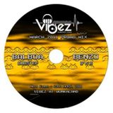 Vibez Promo MIX - DJ Benzo (DNB)