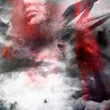 MGMO - Distorted Visions