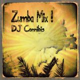 Zumba Mix #1