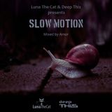 Luna The Cat & Deep This presents Slow Motion