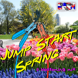 Jump Start Spring - a blossoming mix