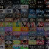 LIFE - 18th July 2013
