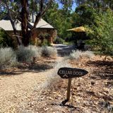 MFSA038 Back From McLaren Vale