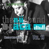 The Nu Sound Of Aca Vol. 13 Mix By Luis Ortega