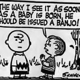 BLUEGRASS 29 - special