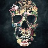 #15th Pill - It's a Trap