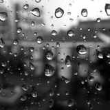 Rainy sunday