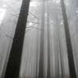 Squad SPU Podcast 01 by Henry Kohn: extended Winter
