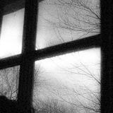 Beyond This Window