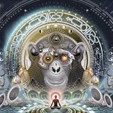 Master Margherita - Lost Theory Festival 2014