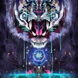 The | Down Tempo | Chill Hop | Trap Shit | Drum Step | Glitch | Mix