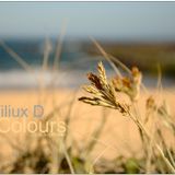 Wiliux D - Colours (July 2009)