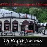 Big Apple Shawinigan Tribute RMX 2015