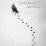 Dynamicron: Wintertide Mix