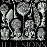 Illusions VII