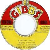 Tribute To Joe GibbS Records