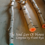 The Soul Luv Of House