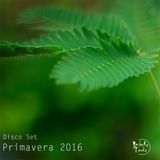 Primavera 2016