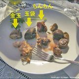 GOLDIE LOOKIN BREAKS 26