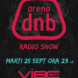 Arena dnb radio show vibe fm mixed by MIGHTY BOOGIE 25-sept-2012