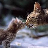 With U