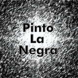 Pinto La Negra Episodio 001