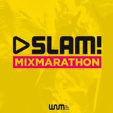 Wildstylez @ SLAM! MixMarathon 2015
