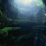 Deep In The Jungle