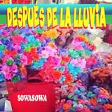 Después de la lluvia