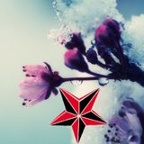Vault Episodes 018 "Ice Melt 'n Spring Scent" Patra City Mix
