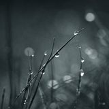 Minimal - Tech Session