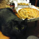 My Bastard Valentine