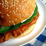 SPICY CHICKEN SANDWICH - Electro House Mix
