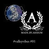 Aksium - #valleyvibes on Da Hub - 16-02-13 - Show #01