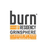 burn Residency 2014 - Cleaning my Ears - Grinsphere