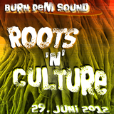 Burn Dem Sound - DubWar @ Roots'N'Culture (Sonderbar 29.6.2012) - Part I
