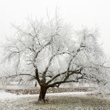 Kloud NIN9- Transition to Hibernation (December 2011)